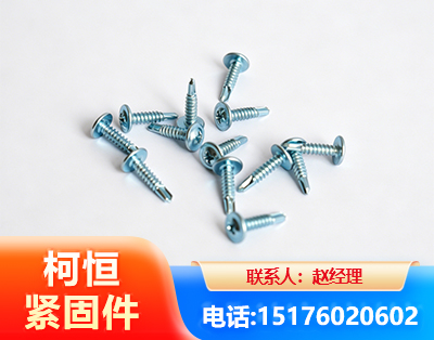 温州华司钻尾丝