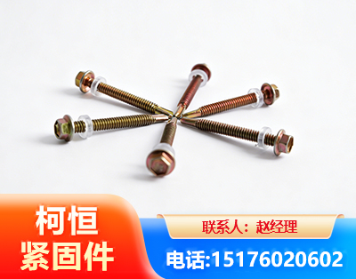 温州六角钻尾丝