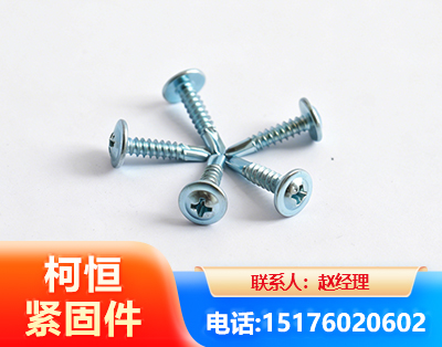 温州华司钻尾丝